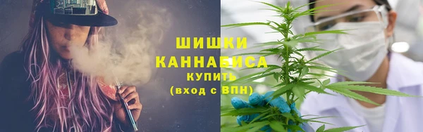 ПСИЛОЦИБИНОВЫЕ ГРИБЫ Новозыбков