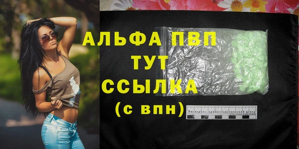 ПСИЛОЦИБИНОВЫЕ ГРИБЫ Новозыбков