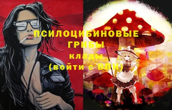 ПСИЛОЦИБИНОВЫЕ ГРИБЫ Новозыбков