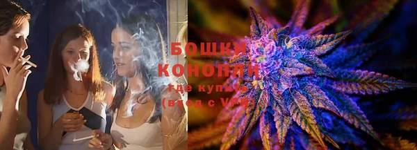 ПСИЛОЦИБИНОВЫЕ ГРИБЫ Новозыбков