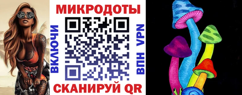 Псилоцибиновые грибы Psilocybine cubensis  Купить где  Тосно 